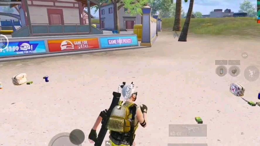 玩家社区对和平精英辅助软件的看法调查